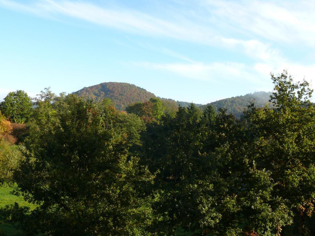 Fewo Bemmann Deisfeld Номер фото